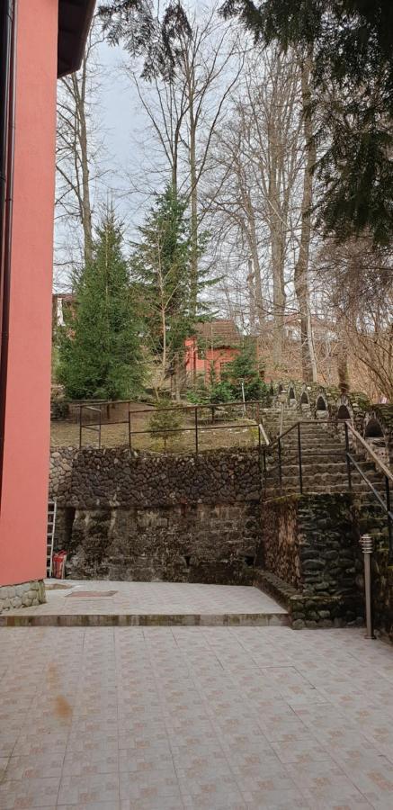 Rosa Villa Băile Olăneşti Exterior foto