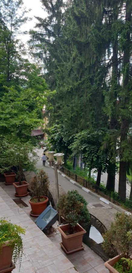 Rosa Villa Băile Olăneşti Exterior foto