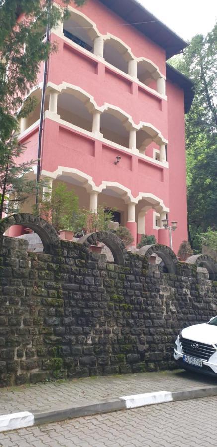 Rosa Villa Băile Olăneşti Exterior foto