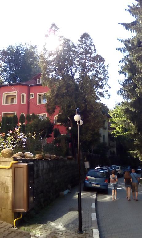 Rosa Villa Băile Olăneşti Exterior foto